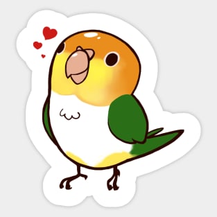 Caique 2 Sticker